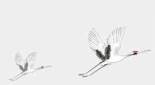 屏幕快照 2019-05-14 15.55.56.png