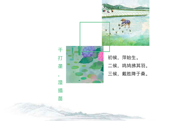 屏幕快照 2019-05-16 18.47.11.png